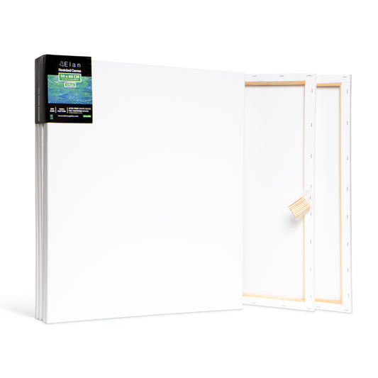 Elan Stretched Canvases Multi-Pack