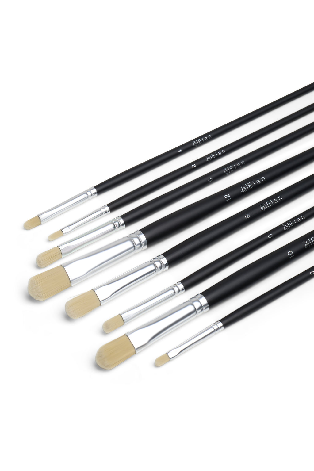 Elan Paint Brush Set — Synthetic Hog
