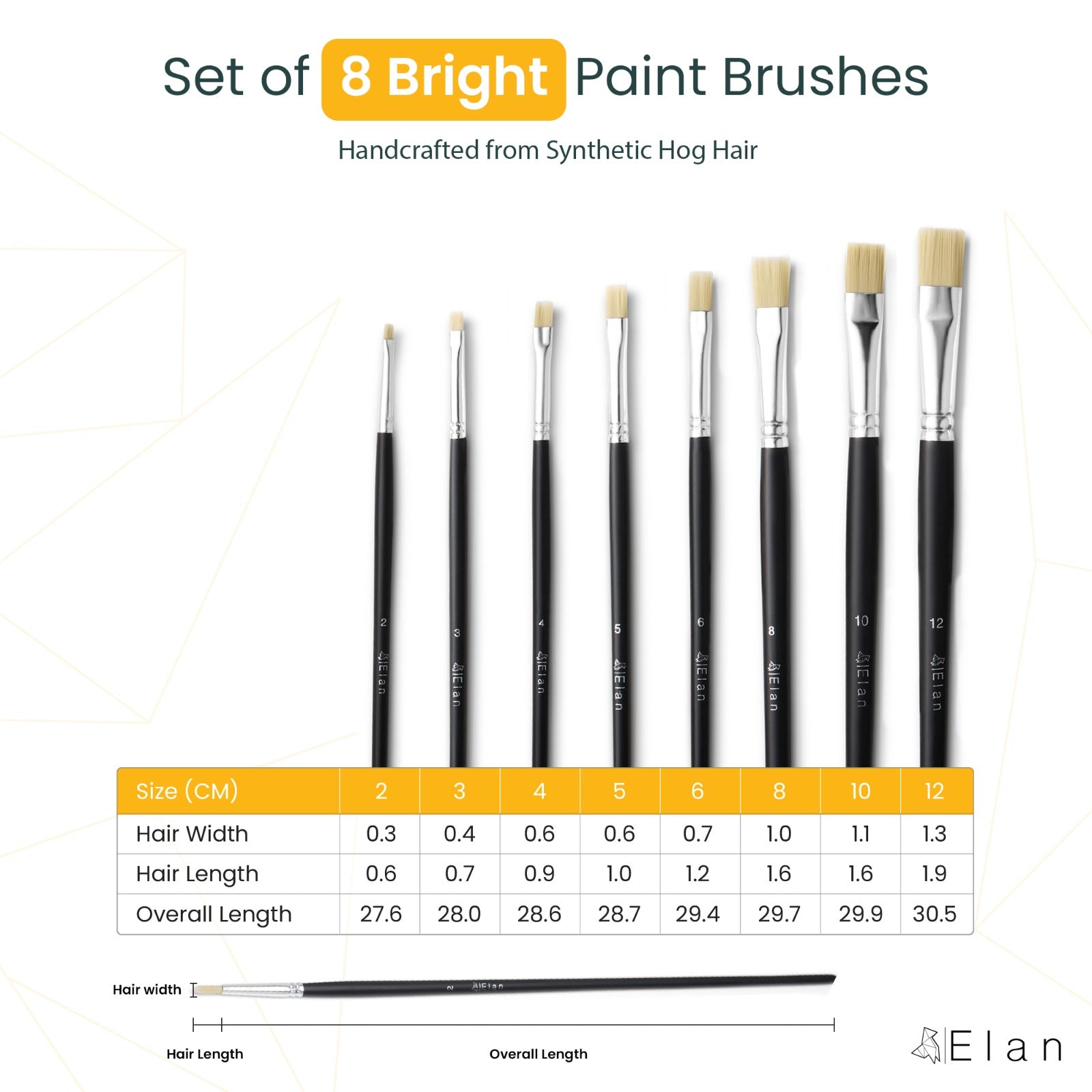 Elan Paint Brush Set — Synthetic Hog