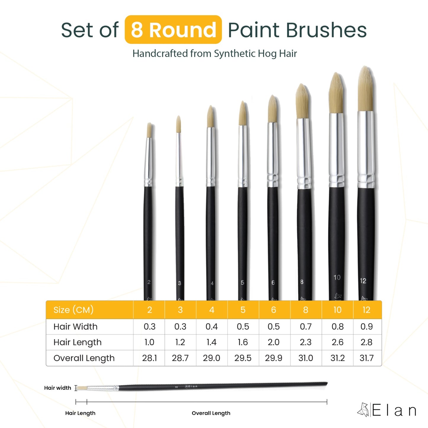 Paint Brush Set Synthetic Hog