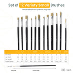 Elan Paint Brush Set — Synthetic Hog