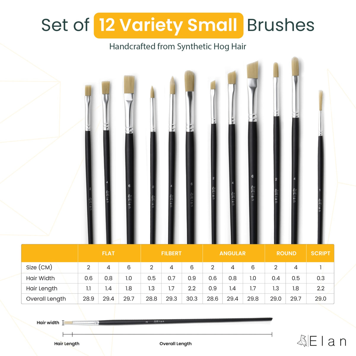 Elan Paint Brush Set — Synthetic Hog