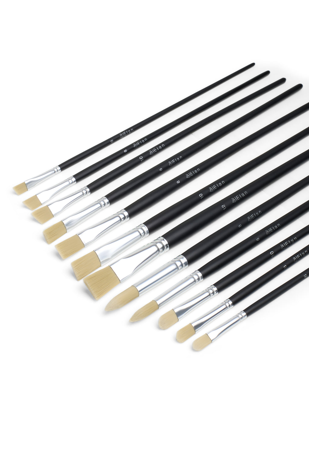 Elan Paint Brush Set — Synthetic Hog