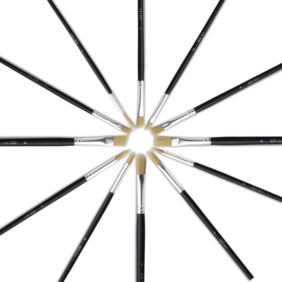 Elan Paint Brush Set — Synthetic Hog